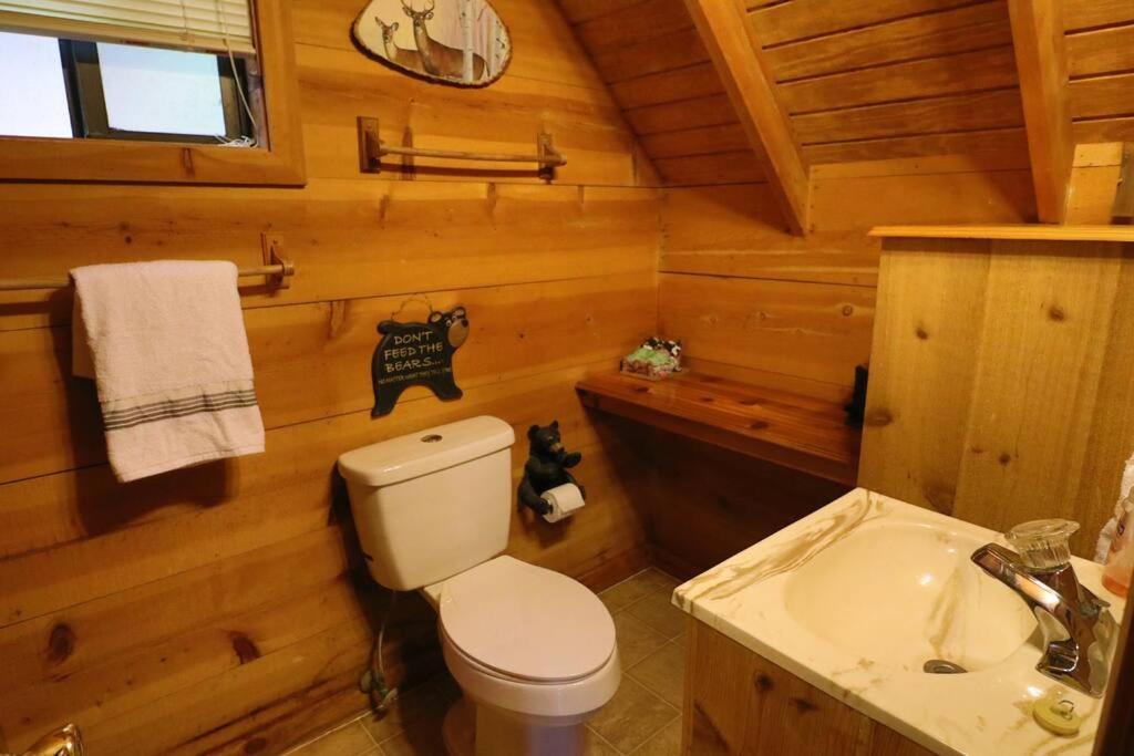 Cozy Cabin W/ Fireplace 3 Minutes To Helen! #2. Kültér fotó