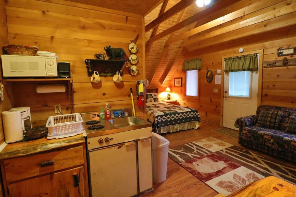 Cozy Cabin W/ Fireplace 3 Minutes To Helen! #2. Kültér fotó